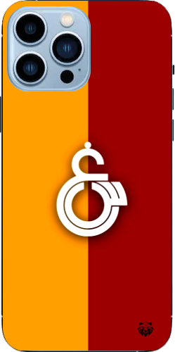 Asaletin Renkleri