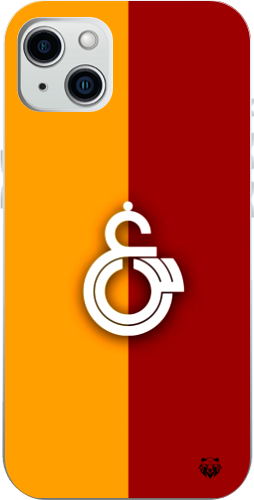 Asaletin Renkleri