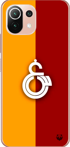 Asaletin Renkleri