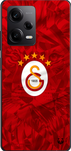 Aslan Ruhlu Galatasaray Şeffaf Telefon Kılıfı