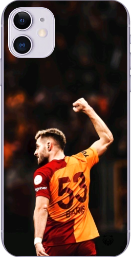 Aslanın Yumruğu