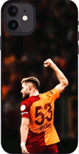 Aslanın Yumruğu