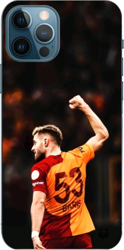 Aslanın Yumruğu