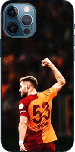 Aslanın Yumruğu