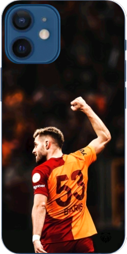 Aslanın Yumruğu