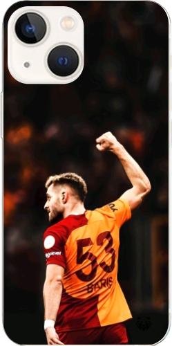 Aslanın Yumruğu