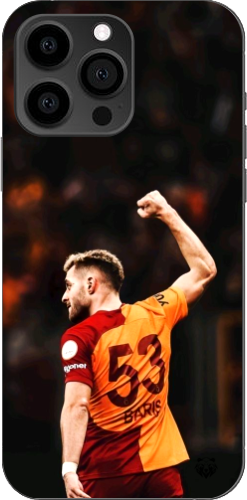 Aslanın Yumruğu