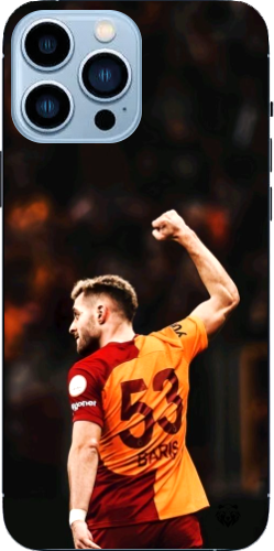 Aslanın Yumruğu