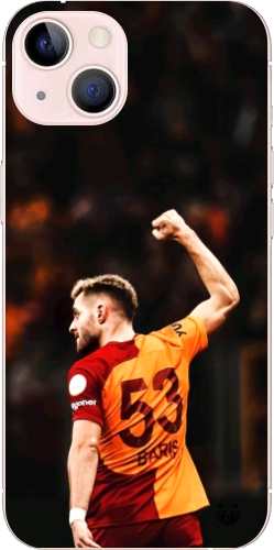 Aslanın Yumruğu