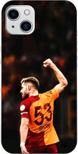 Aslanın Yumruğu