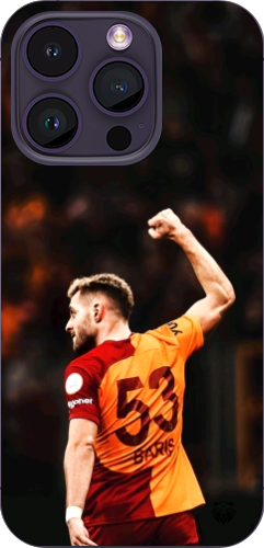 Aslanın Yumruğu