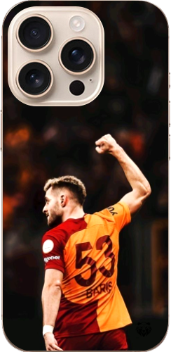 Aslanın Yumruğu