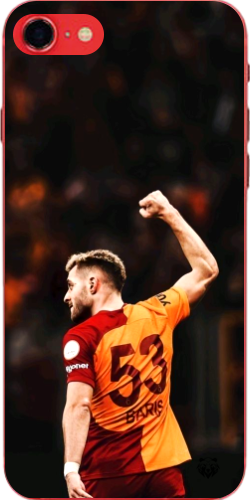 Aslanın Yumruğu