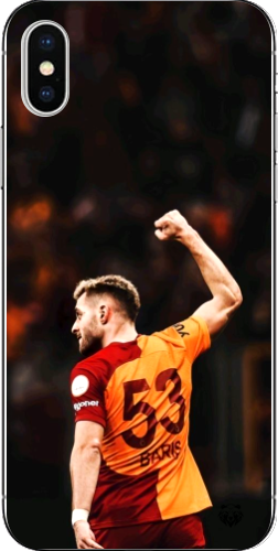 Aslanın Yumruğu