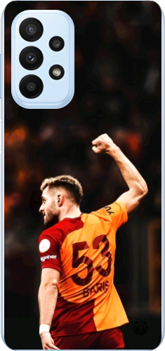 Aslanın Yumruğu