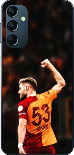 Aslanın Yumruğu