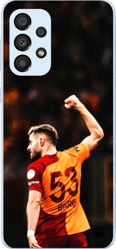 Aslanın Yumruğu