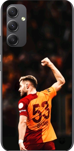 Aslanın Yumruğu