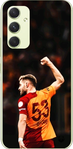 Aslanın Yumruğu