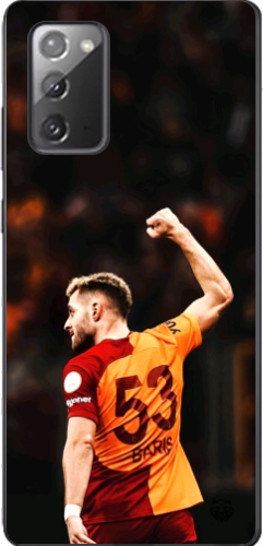 Aslanın Yumruğu