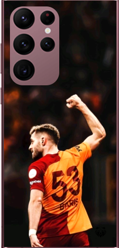 Aslanın Yumruğu