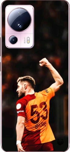 Aslanın Yumruğu