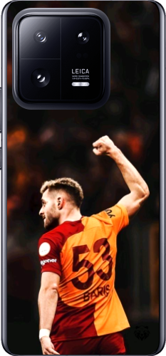 Aslanın Yumruğu