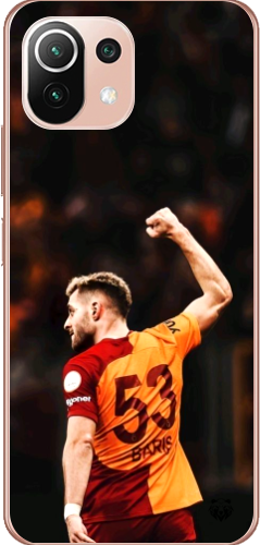 Aslanın Yumruğu