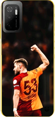 Aslanın Yumruğu