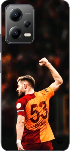 Aslanın Yumruğu
