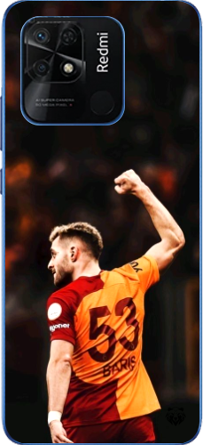 Aslanın Yumruğu