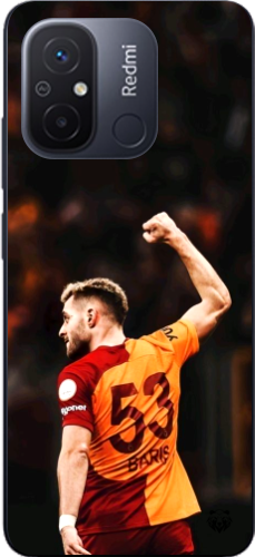 Aslanın Yumruğu