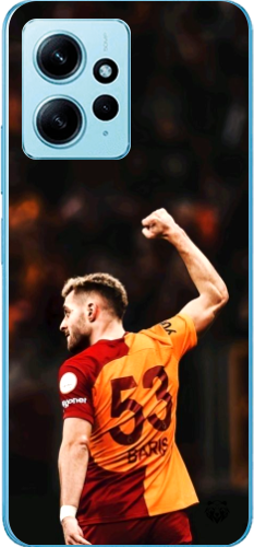 Aslanın Yumruğu