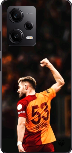 Aslanın Yumruğu