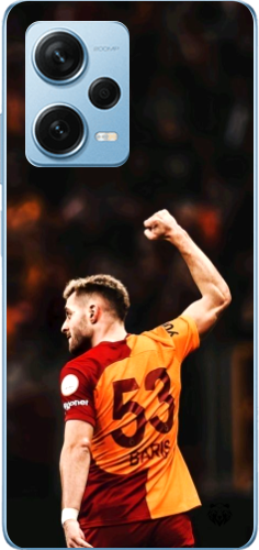 Aslanın Yumruğu