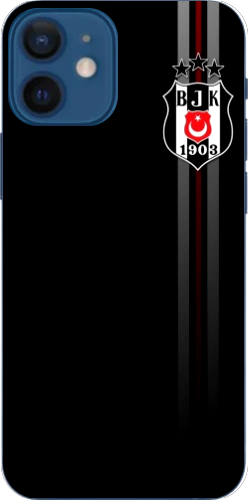 Beşiktaş Çizgili