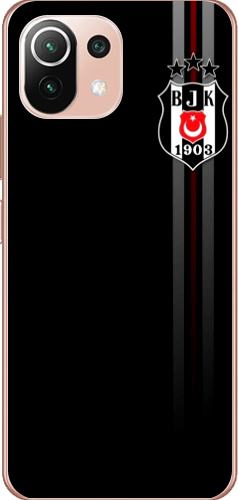 Beşiktaş Çizgili