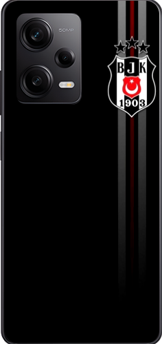 Beşiktaş Çizgili