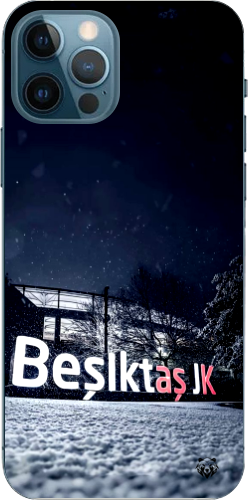 Beşiktaş JK