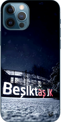 Beşiktaş JK