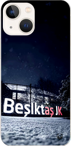 Beşiktaş JK