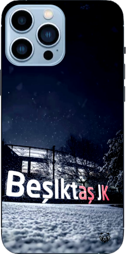 Beşiktaş JK