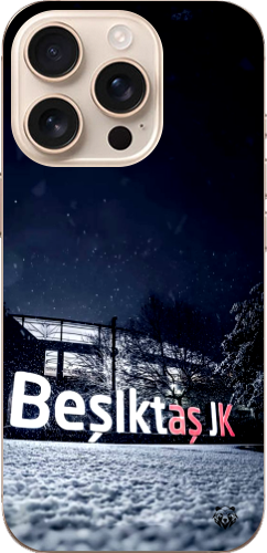Beşiktaş JK