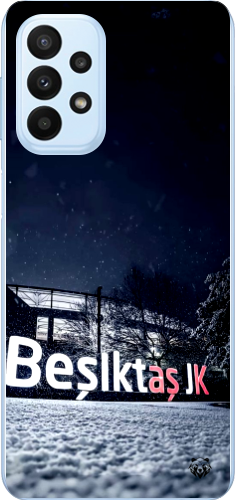 Beşiktaş JK