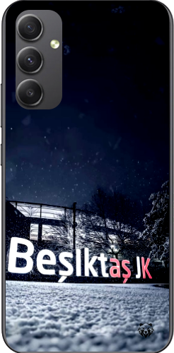 Beşiktaş JK