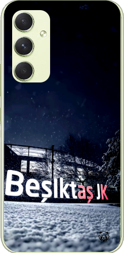 Beşiktaş JK