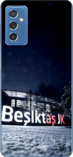 Beşiktaş JK
