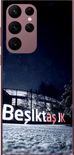 Beşiktaş JK