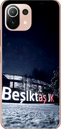 Beşiktaş JK