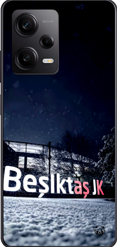 Beşiktaş JK